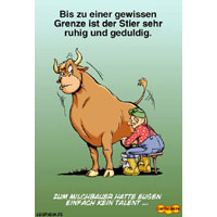Stier